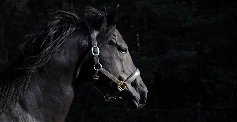 mesh-blog-big-data-insights