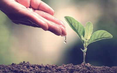 7 Tips to Create Effective Automated Email Drip Campaigns to Nurture Leads