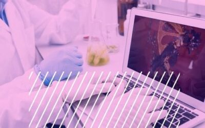 Life Sciences SEO Handbook 2024: Strategies, Tactics & Best Practices